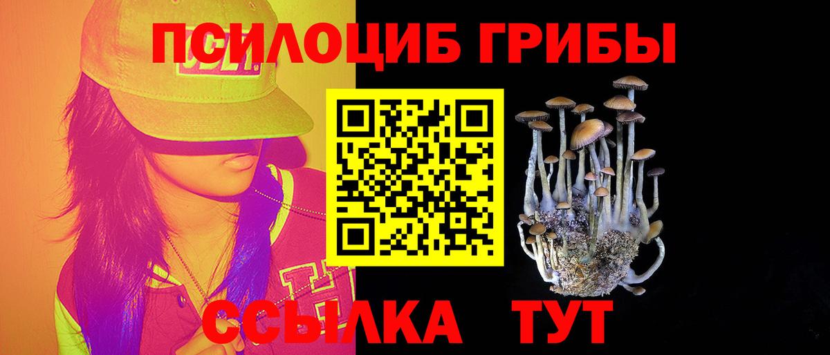 Мытищи  Галлюциногенные грибы Cubensis  Псилоцибиновые грибы MAGIC MUSHROOMS  Вход с VPN 